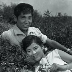 Asu no Hanayome Japanese Movie photo