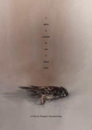 I Open a Curtain to See a Dead Bird (2024) poster