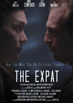 The Expat (2022) poster