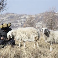 The Fading Village Chinese Movie photo