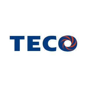 tecovietnam