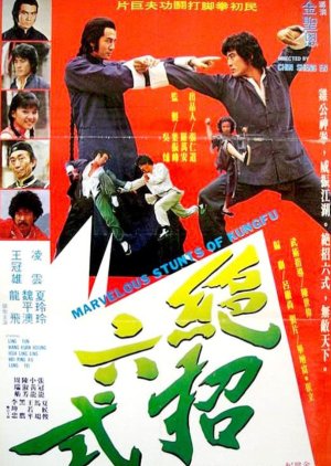 Marvelous Stunts of Kung Fu (1979) poster