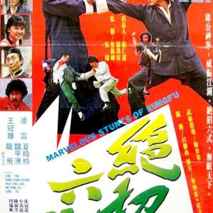 Marvelous Stunts of Kung Fu (1979)