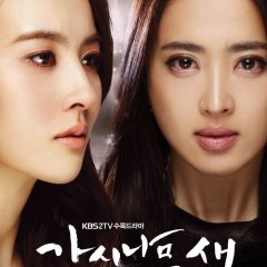 Thorn Birds Korean Drama photo