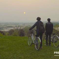 Present Perfect Thai Movie photo