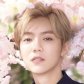 Wu Xie