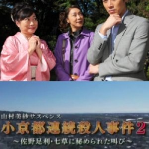 Yamamura Misa Suspense: Shou Kyoto rRenzoku Satsujin Jiken 2 - Sano Ashikaga Nanakusa Ni Himerareta  (2013)
