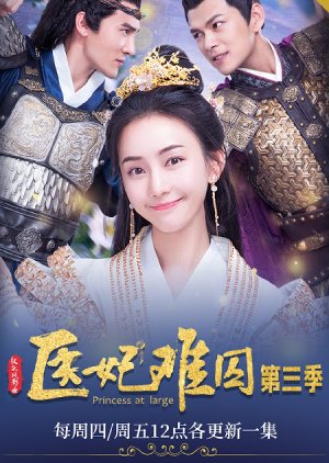 Princess at Large 3 (2020) poster