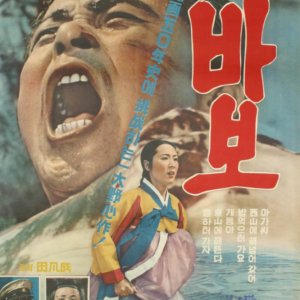 Fool (1965)