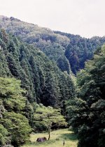 Obake Japanese Movie photo