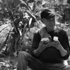 Genus, Pan Philippines Movie photo