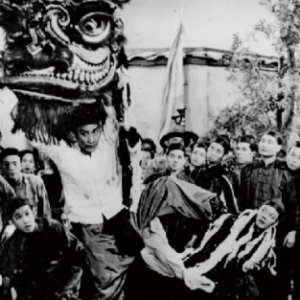 How Wong Fei Hung Defeated the Tiger on the Opera Stage (1959)