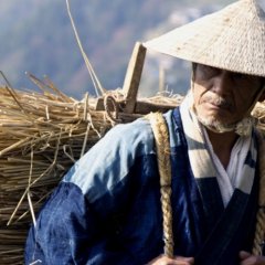 The Tale Of Iya Japanese Movie photo