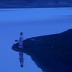 In The Thicket Japanese Movie photo