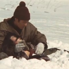 Light of Africa Japanese Movie photo