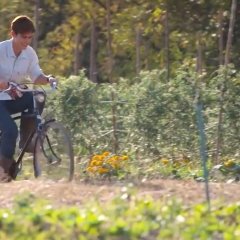 To Me, It's Simply You Thai Drama photo