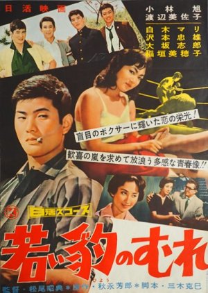 Wakai Hyo no Mure (1959) poster