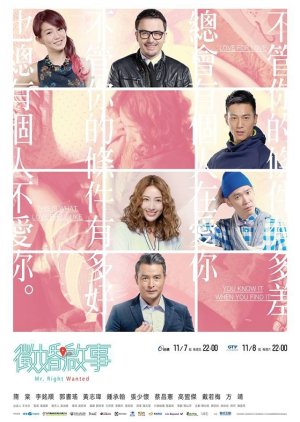 Mr. Right Wanted (2014) poster