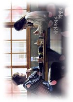 The Happy Loner (2017) photo