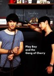 Playboy and the Gang of Cherry thai movie review
