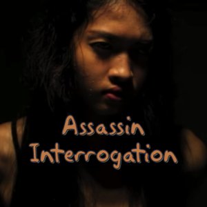 Assassin Interrogation (2015)