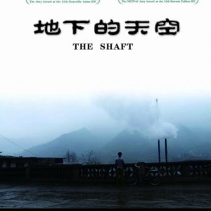 The Shaft (2008)