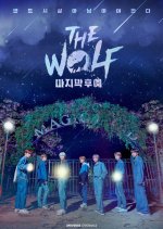 The Wolf: The Last Descendant Korean TV Program photo