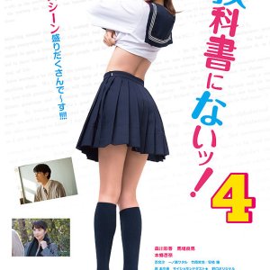 Very Private Lesson 4 (2017)