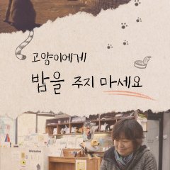 Don't Feed The Stray Cats Korean Movie photo