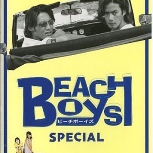 Beach Boys Special (1998)