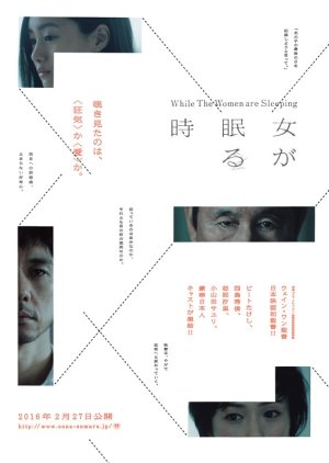 While the Women Are Sleeping (2016) poster