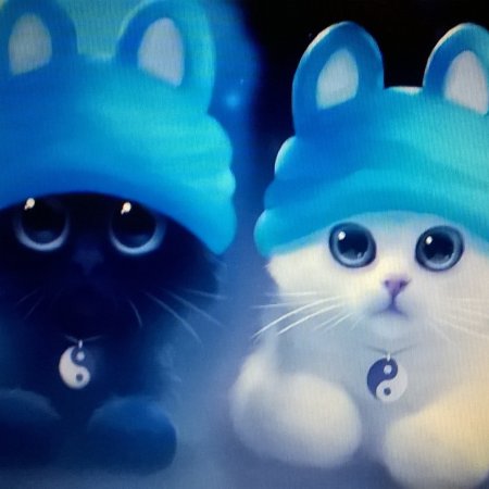 Kamisama no Boto  (2013)
