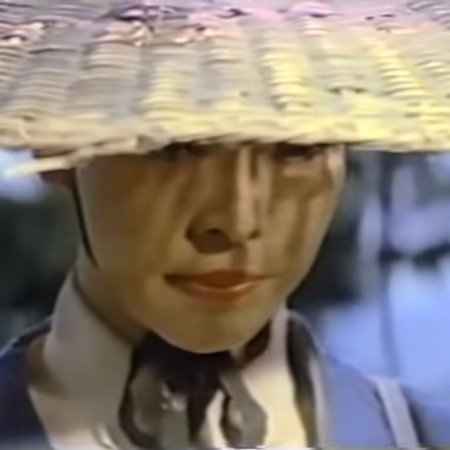 Butterfly of Ching, A Heroine (1984)