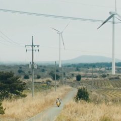 Bad Guys Always Die Korean Movie photo