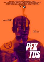 Pektus Philippines Movie photo