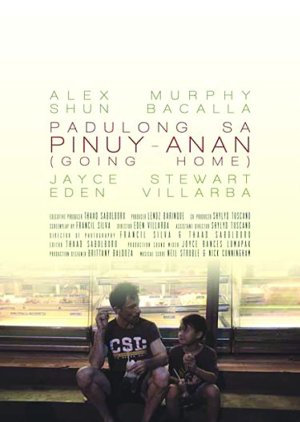 Going Home (2014) poster