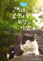 A Time for Dogs and Cats Korean Movie photo