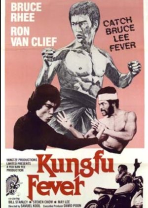 Kung Fu Fever (1979) poster
