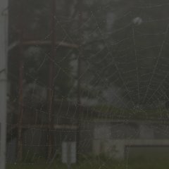 East Asia Anti-Japan Armed Front Korean Movie photo