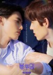 Korean BL Drama: A Voting List