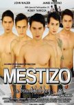 Mestizo: A Beautiful Boy