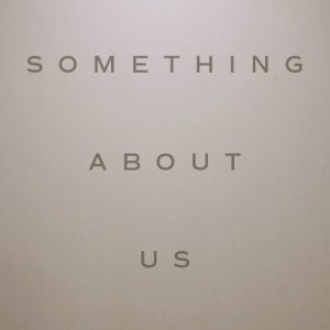 Something About Us (2016)