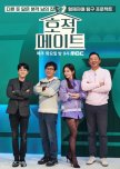DNA Mate korean drama review