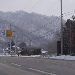 Alive Korean Movie(2015) photo