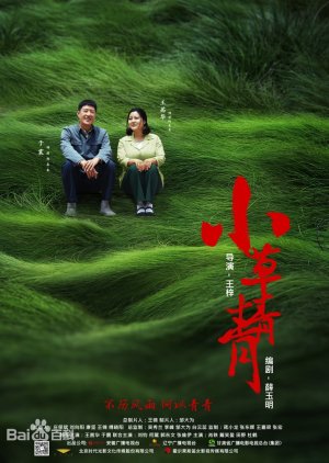 Green Grass (2016) poster
