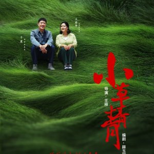 Green Grass (2016)