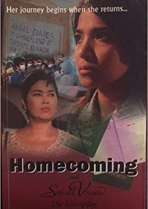 Homecoming (2003) poster
