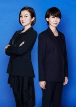 Mikaiketsu no Onna: Keishichou Bunsho Sousakan Season 2 Japanese Drama photo