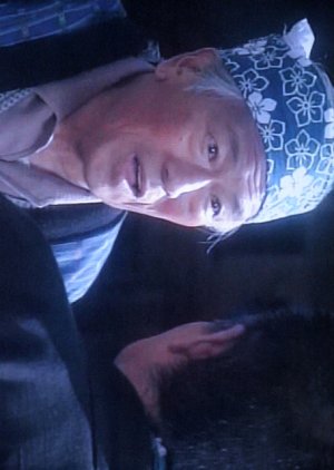 Ko Kyoto Mystery 11: Iyo Yume Shibai Satsujin Jiken (1994) poster