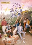The Secret of  Love chinese drama review